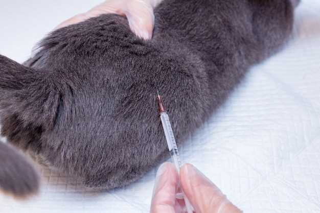 Классификация результатов анализа на шерсть кошки