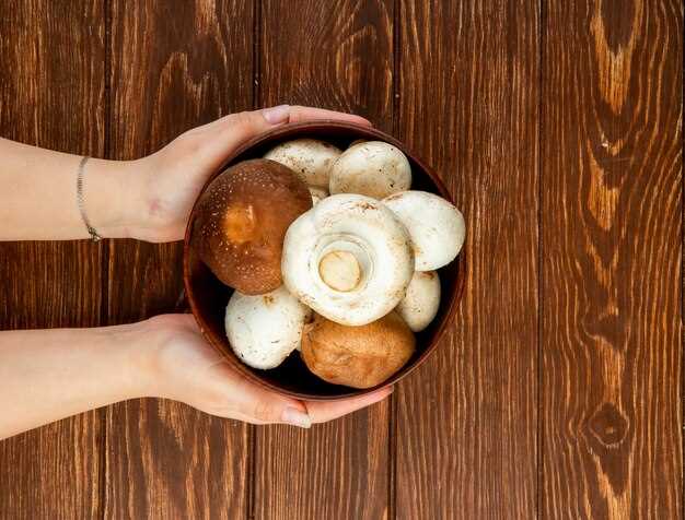 Питательные свойства грибов и их вред