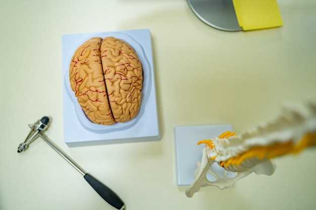 Восстановление мозга: роль лекарств после инсульта